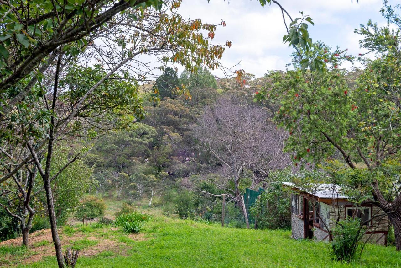 Briar Rose Cottage - Relaxed Mountain Home 3Bed Katoomba Exterior photo